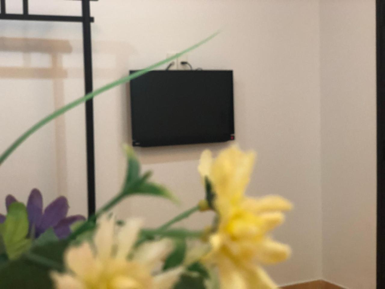 Sea Sun Homestay ホイアン エクステリア 写真